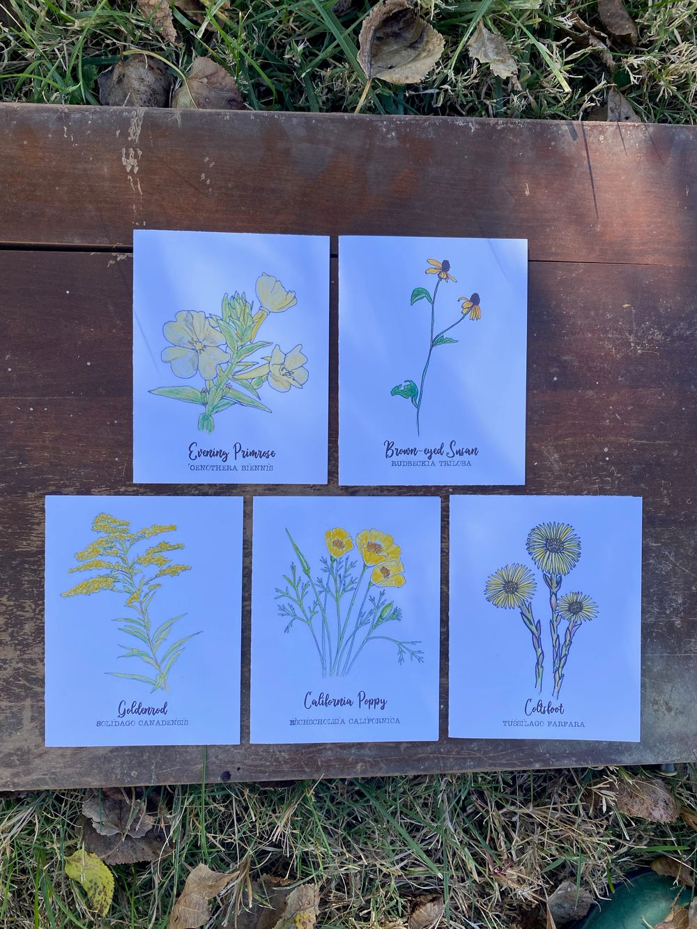 Yellow Wildflower Notecard Set