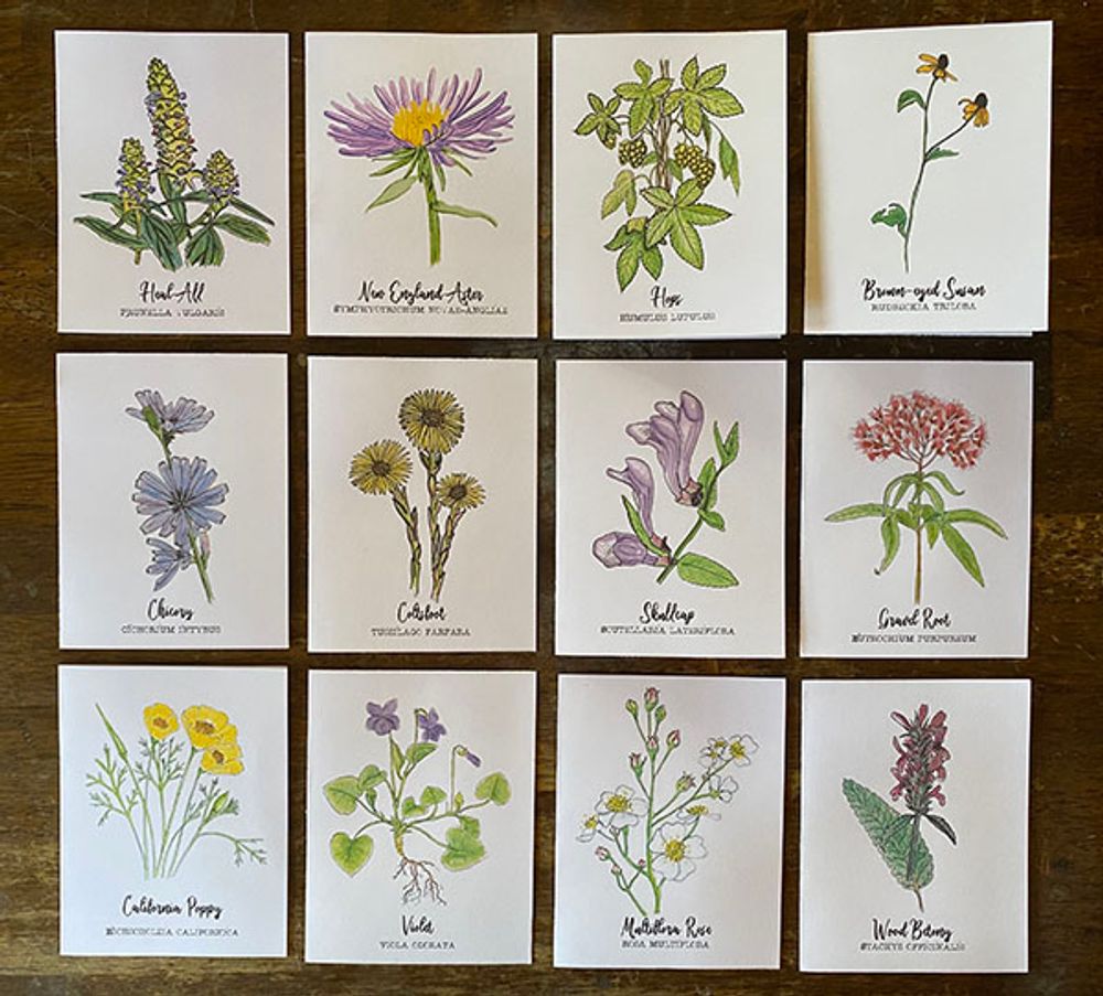 Wildflower Notecard Set