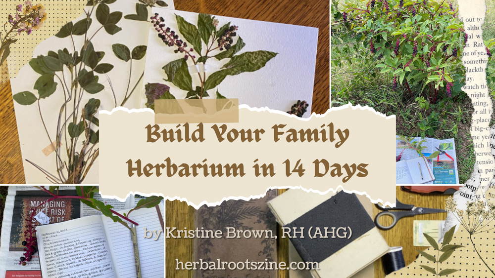 Build Your Family Herbarium in 14 Days Online Course