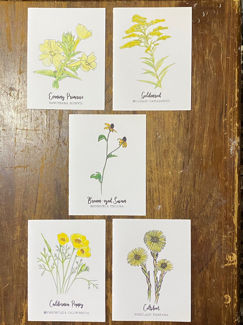 Yellow Wildflower Notecard Set